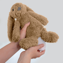 Load image into Gallery viewer, Zazu Baby Sleep Soothers - Ro The Rabbit