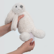 Load image into Gallery viewer, Zazu Baby Sleep Soothers - Ro The Rabbit