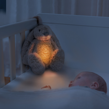 Load image into Gallery viewer, Zazu Baby Sleep Soothers - Ro The Rabbit