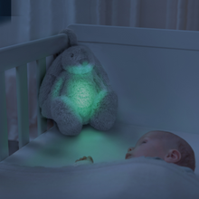 Load image into Gallery viewer, Zazu Baby Sleep Soothers - Ro The Rabbit