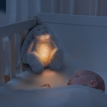 Load image into Gallery viewer, Zazu Baby Sleep Soothers - Ro The Rabbit