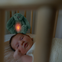 Load image into Gallery viewer, Zazu Baby Sleep Soothers - Ro The Rabbit
