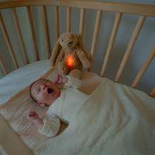 Load image into Gallery viewer, Zazu Baby Sleep Soothers - Ro The Rabbit