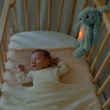 Load image into Gallery viewer, Zazu Baby Sleep Soothers - Ro The Rabbit