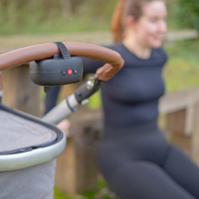 Load image into Gallery viewer, Zazu - Robby the Rocker