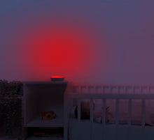 Load image into Gallery viewer, Zazu - Emmy the Elephant