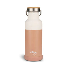 Load image into Gallery viewer, Citron - 500ml Water Bottle