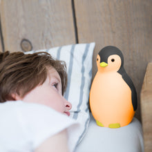 Load image into Gallery viewer, Zazu - Pam the Penguin Sleeptrainer grey in orange light