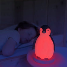 Load image into Gallery viewer, Zazu - Pam the Penguin Sleeptrainer grey in red light