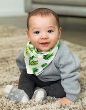 Load image into Gallery viewer, Tiny Twinkle Bandana Bib Cacti Set