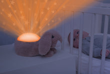 Load image into Gallery viewer, Zazu Star Projectors - Kiki, Harry, Ruby