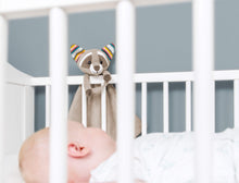 Load image into Gallery viewer, Zazu Baby Comforters - Robin the Racoon
