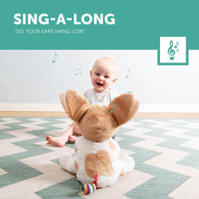 Load image into Gallery viewer, Danny the Dog - Zazu Peek-A-Boo Soft Toy Sing A Long Feature