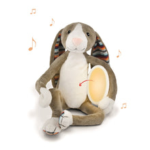 Load image into Gallery viewer, Zazu Nightlight - Max, Bo, and Katie