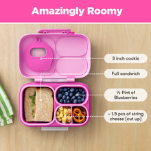 Load image into Gallery viewer, OmieLife - OmieBox® Lite
