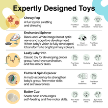 Load image into Gallery viewer, PortaPlay Activity Center - Enchanted Garden
