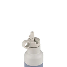 Load image into Gallery viewer, Citron - 500ml Water Bottle
