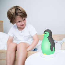 Load image into Gallery viewer, Zazu - Pam the Penguin Sleeptrainer - grey in green light
