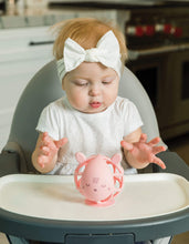 Load image into Gallery viewer, Tiny Twinkle Teether Toy Rose Bunny
