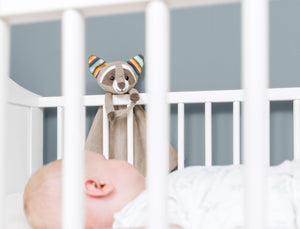 Zazu Baby Comforters - Robin the Racoon