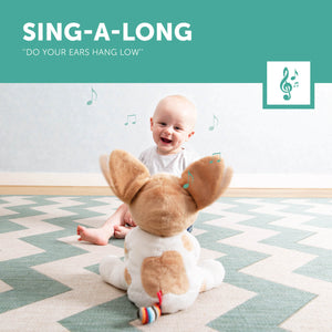 Danny the Dog - Zazu Peek-A-Boo Soft Toy Sing A Long Feature
